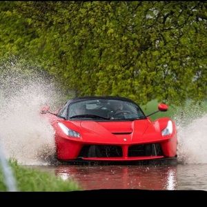 Meet your Posher, Noah